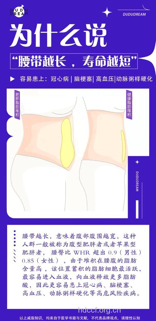 男人腰带越长寿命越短