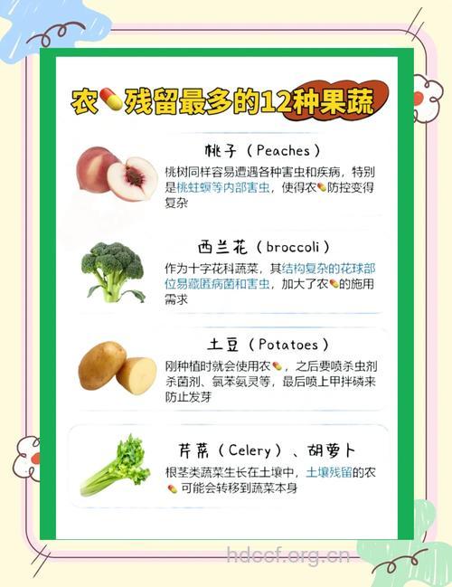 果蔬帮你恢复“再生”