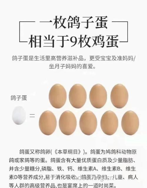 如何挑选鸽子蛋