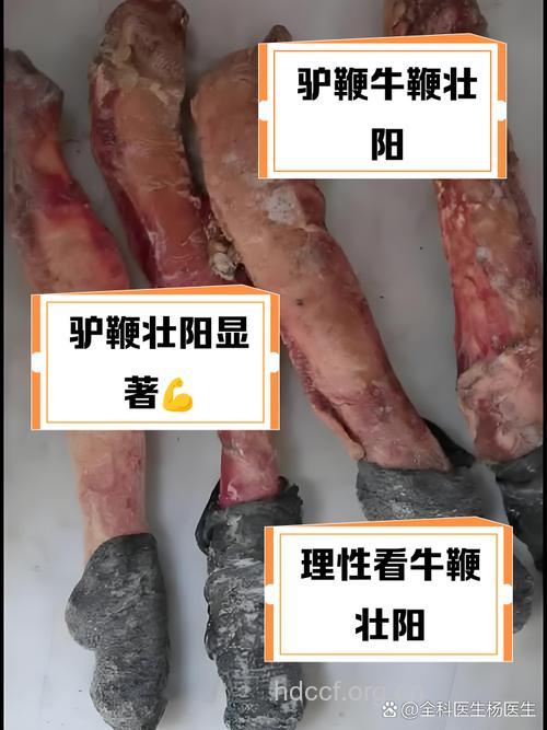 鞭补鞭真