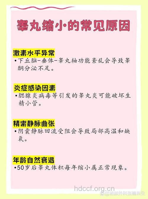 打激素增大睾丸不可取