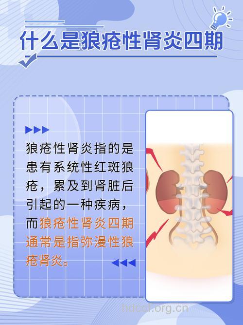 狼疮性肾炎为什么男女有别