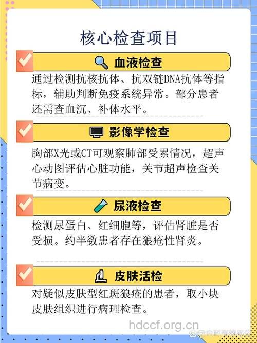 狼疮肾病怎么进行血液检查