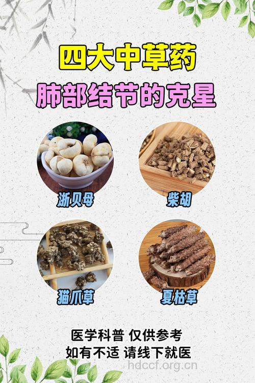 治疗肺结核可以选择什么中药