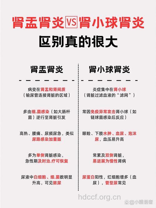 哪些因素会感染肾盂肾炎