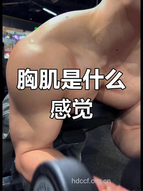男人秀出胸肌有三招