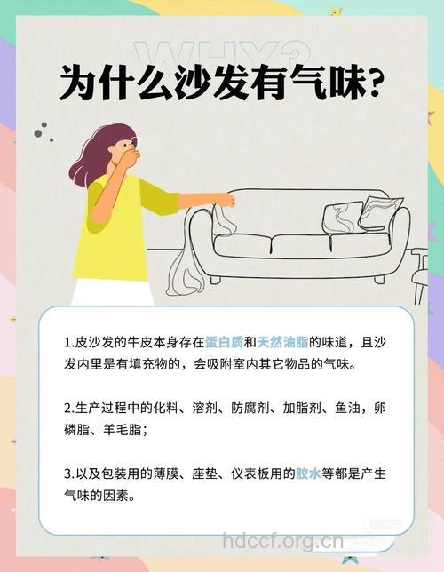 如何除去新沙发的异味