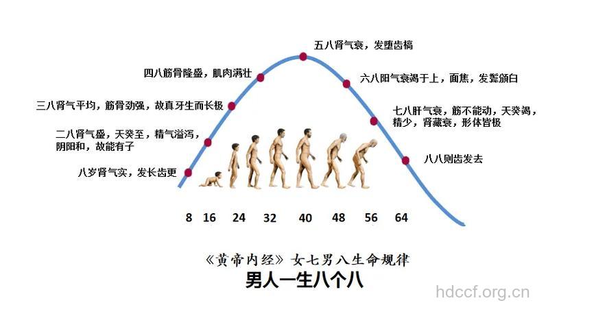 男性衰老的十个标志