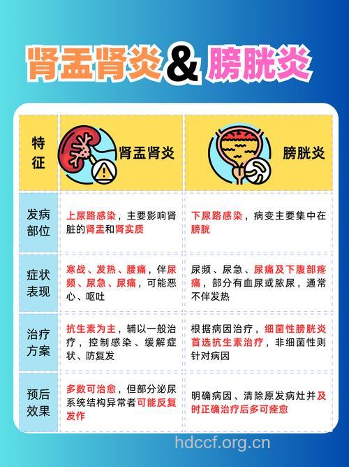 肾盂肾炎与膀胱炎怎么去诊断