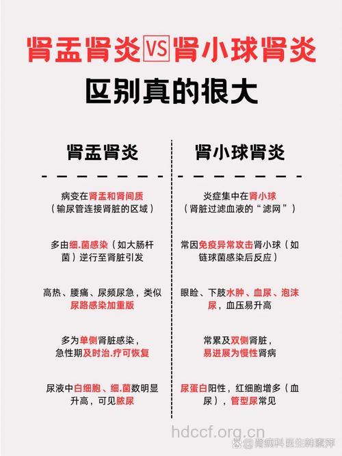 肾盂肾炎与肾炎怎么区别诊断