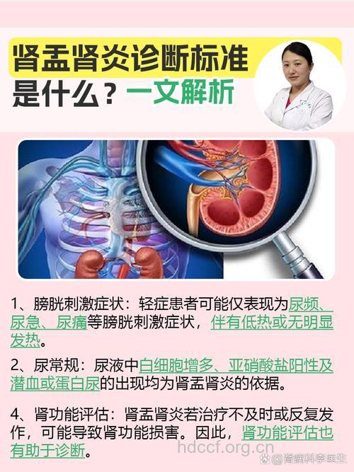 肾盂肾炎有哪些诊断方法