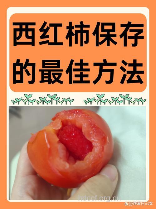 西红柿如何存放