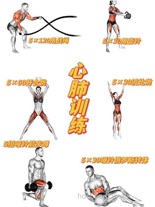 怎样帮男人强壮心脏
