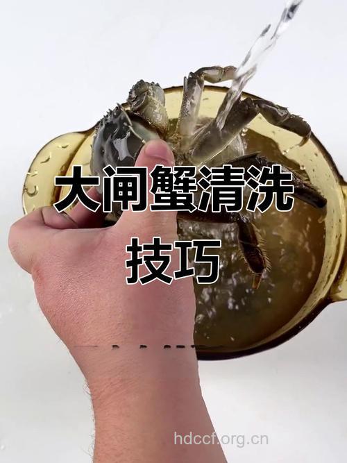 螃蟹怎么洗干净