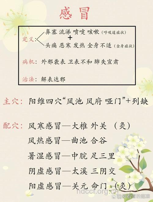 感冒的针灸取穴与疗效评价