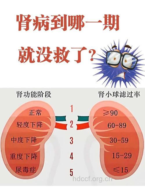 慢性肾炎有哪些主要症状