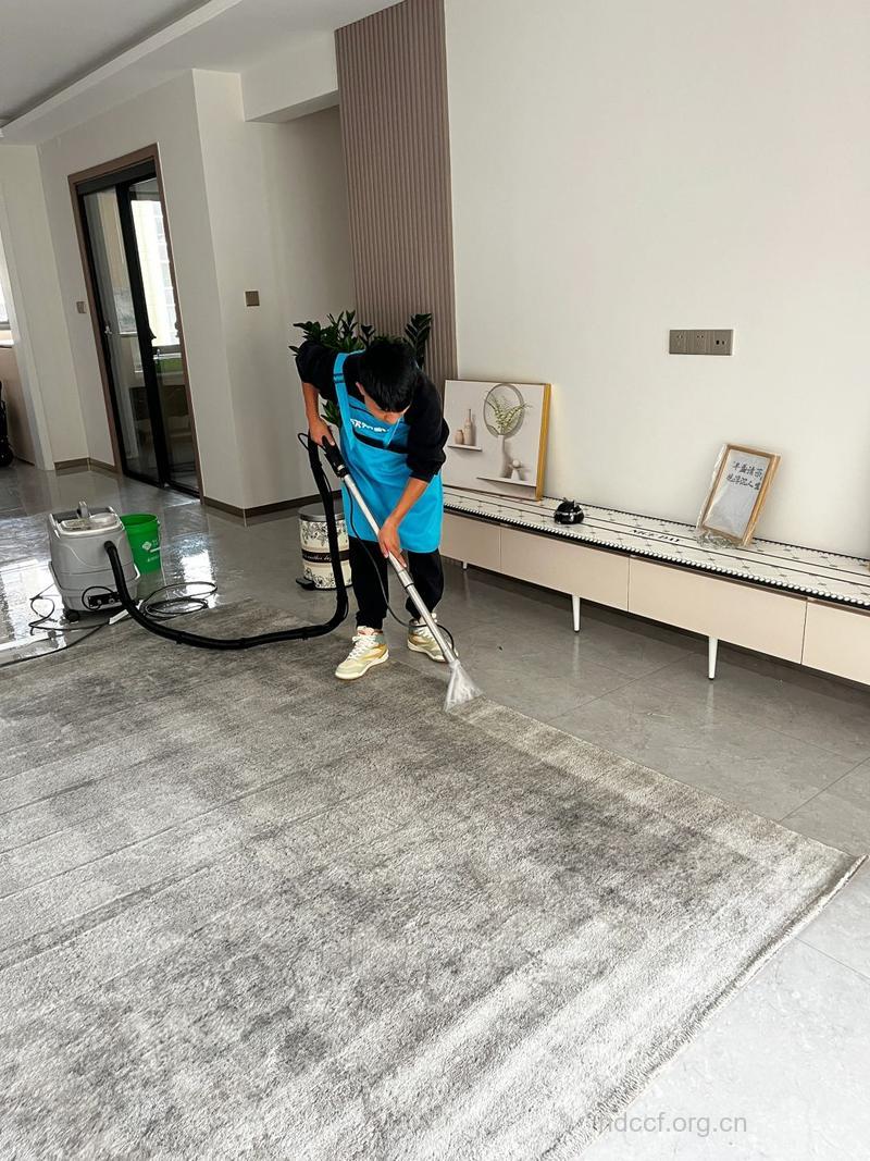 清洁地毯的7大方法