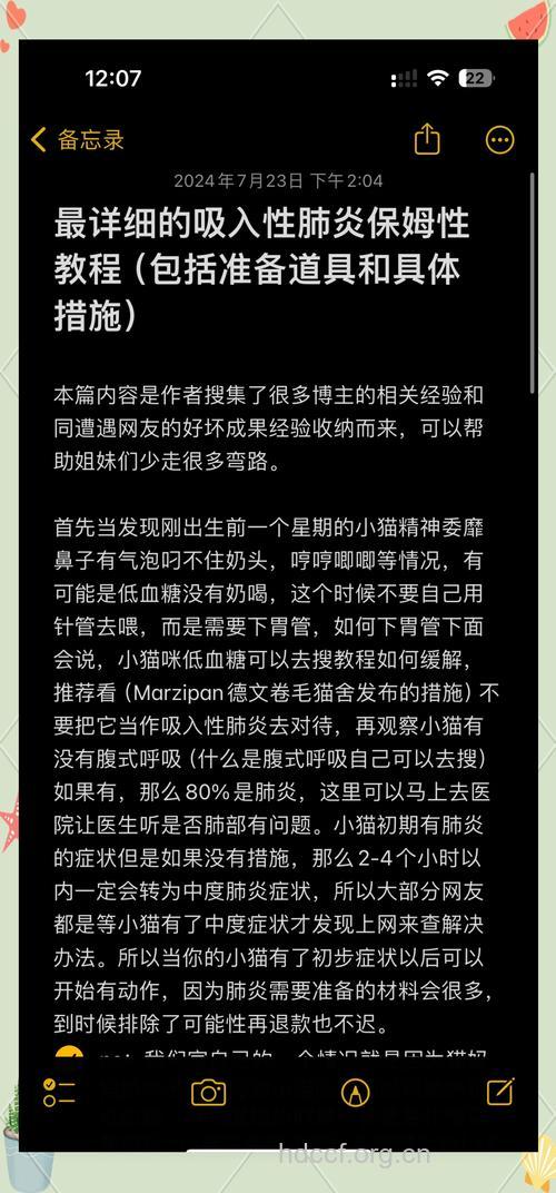 吸入性肺炎怎么治疗呢