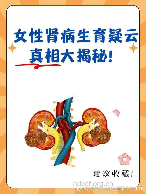 女性肾炎对生育是否有影响