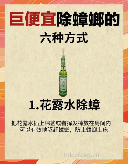 去除蟑螂的小妙招