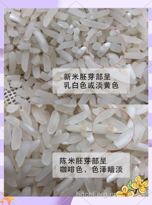 怎样区分新大米与陈米