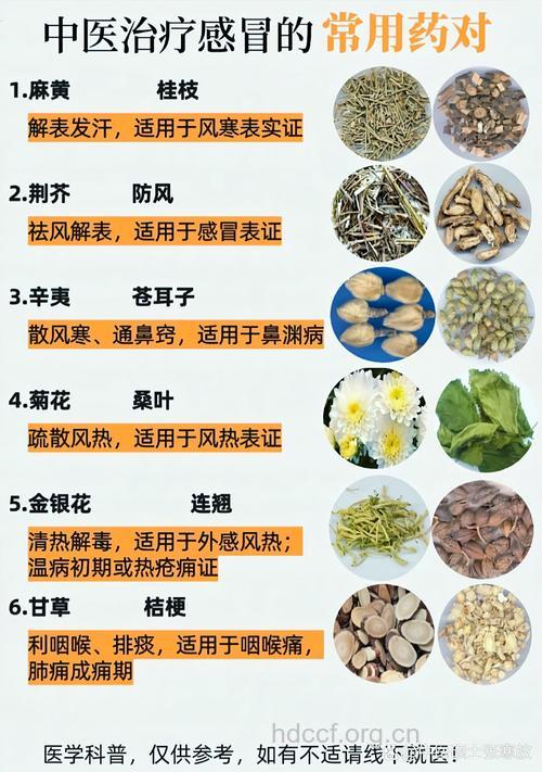 中医药治感冒