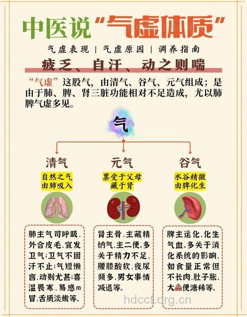 气虚感冒应先补中气