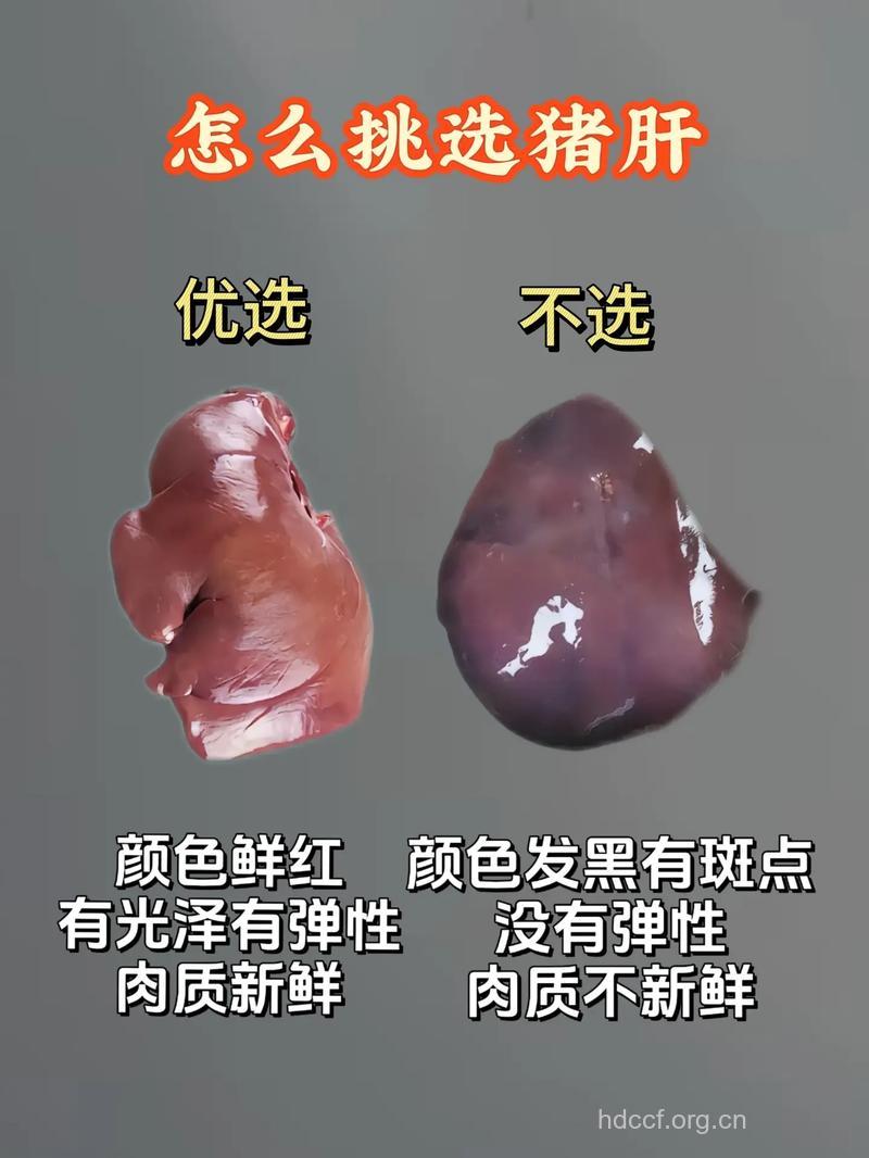 怎样挑选猪肝