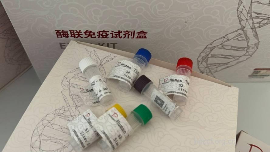 抗人禽流感病毒抗体