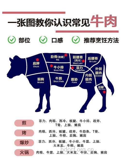 教你如何挑选牛肉