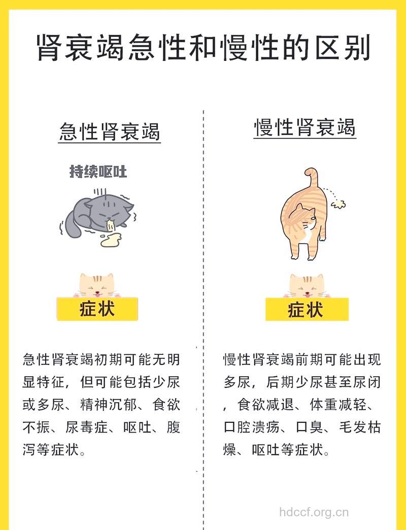 肾炎 肾虚 肾衰有哪些认识方法
