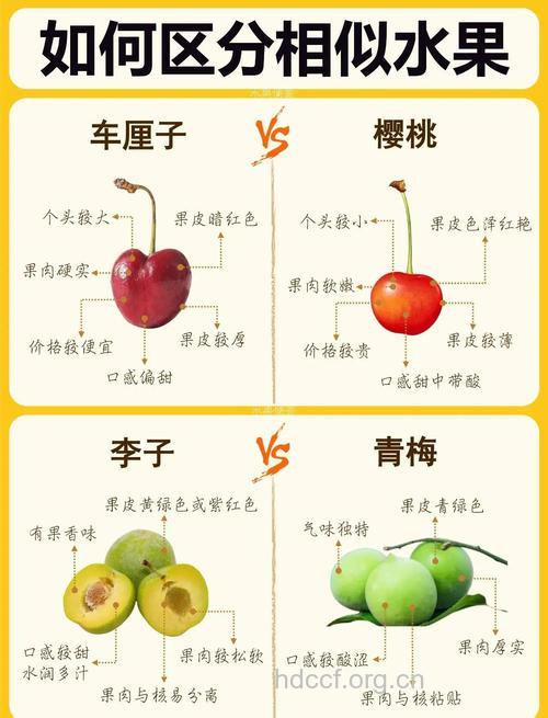 如何辨别真假洋水果