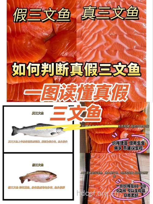 真假三文鱼的鉴别方法