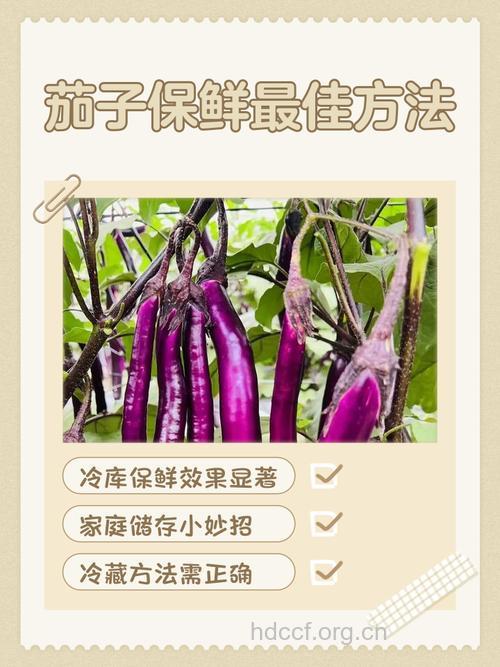 茄子保鲜的方法
