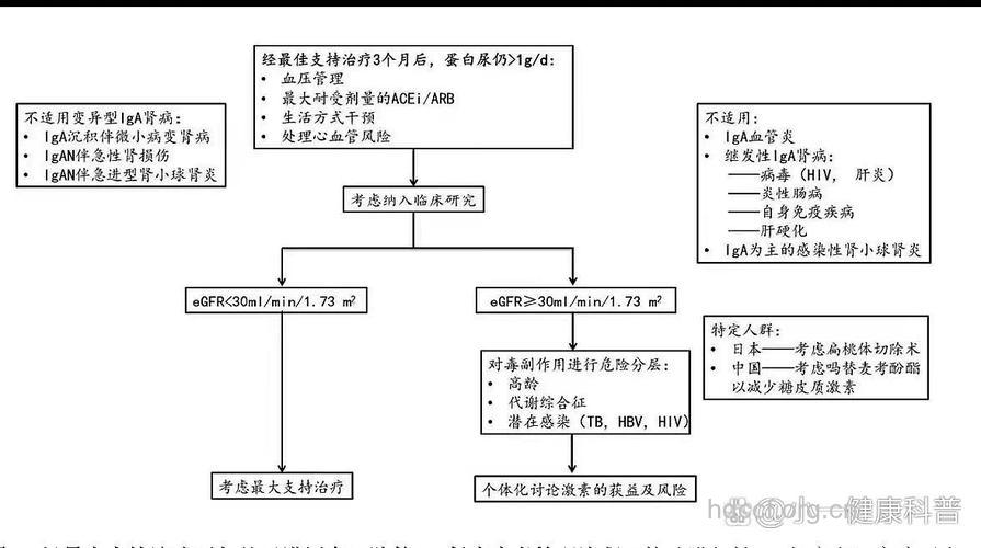 IgA肾病有哪些治疗原则