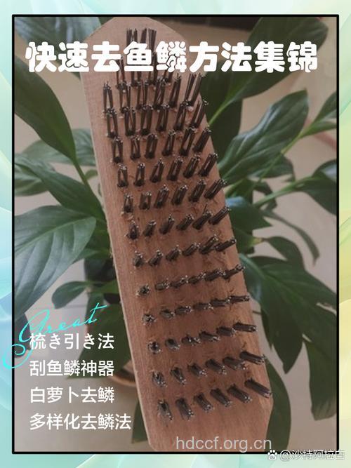 快速去鱼鳞的小方法