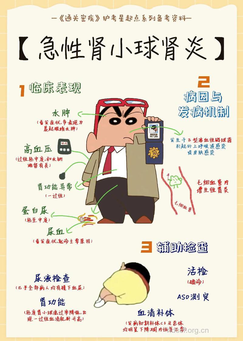 关于急性肾小球肾炎的常识
