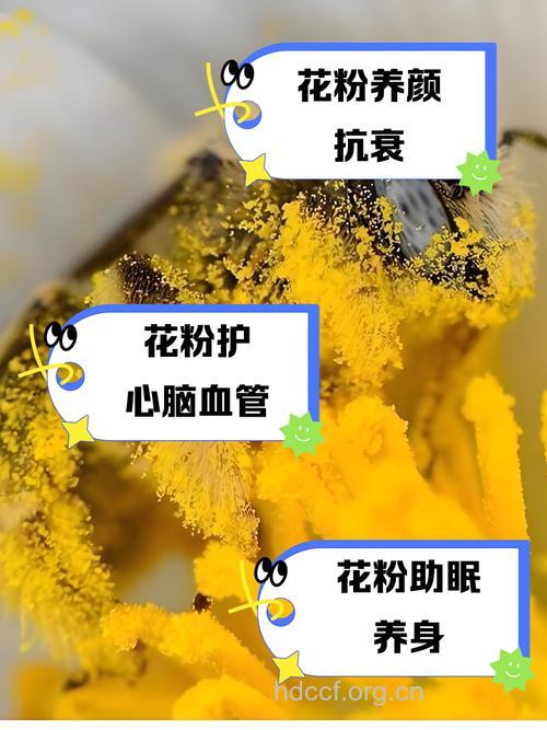 夏季花粉过敏的应急偏方