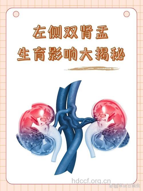 肾盂肾炎患者怀孕的条件