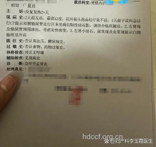 肾盂肾炎患者能怀孕吗