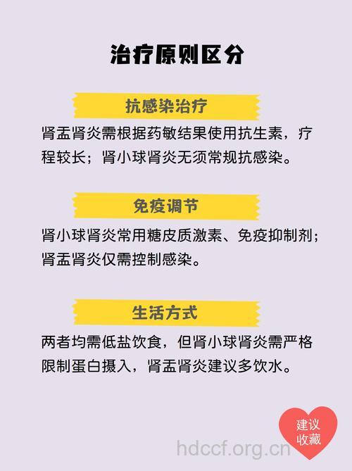 辨别慢性肾炎与肾盂肾炎