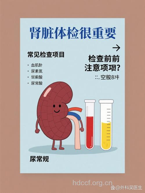 定期检查预防肾病是非常必要的