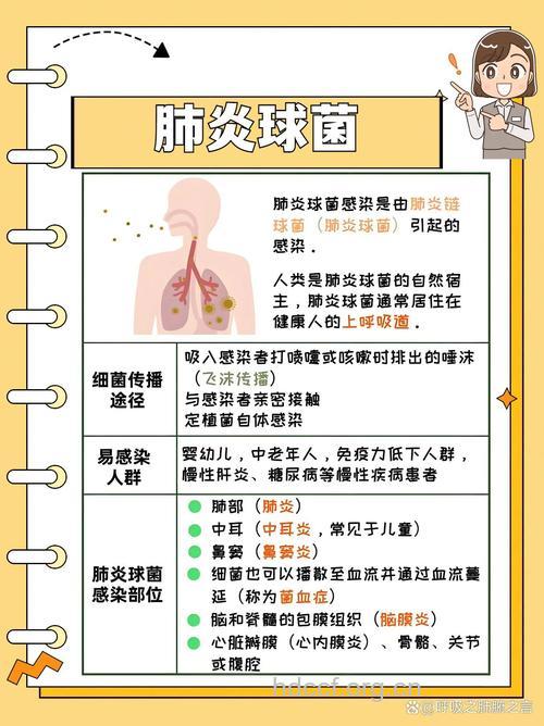 低龄儿童易感染肺炎球菌