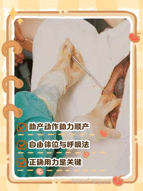 老人依然可生孩子?如何自检生育能力