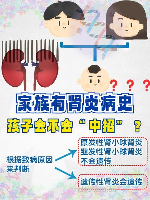 详解肾炎是否遗传以及和快餐的关系