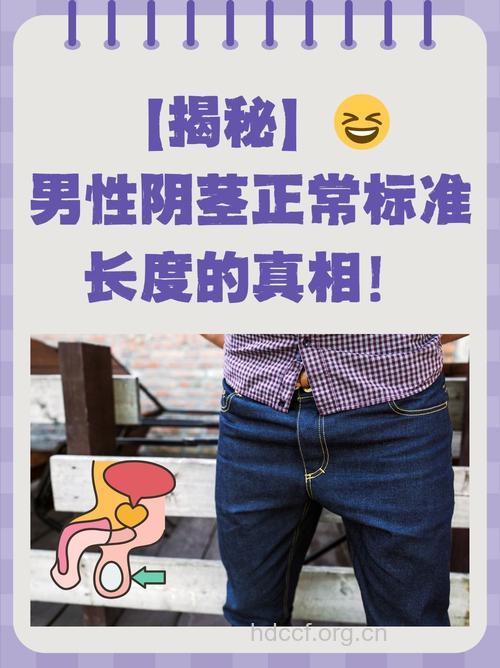 正常的阴茎有多大?男人要质量不要大小