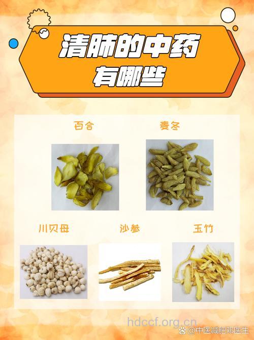 肺气肿怎么治疗 中药偏方来帮你