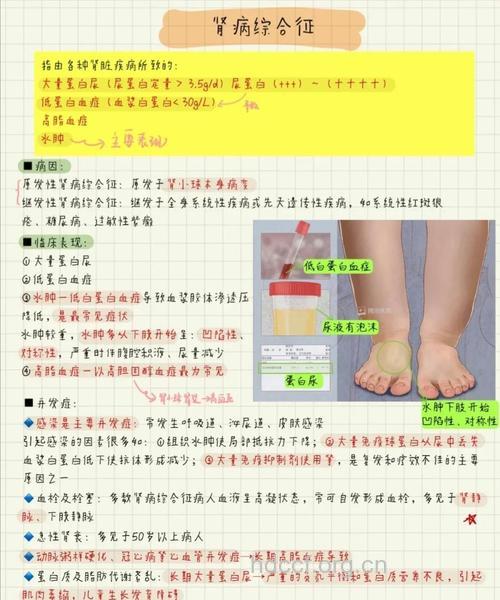 IgA肾炎患者护理的注意事项