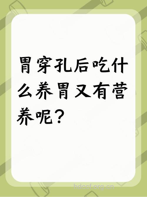 胃穿孔的人吃什么好