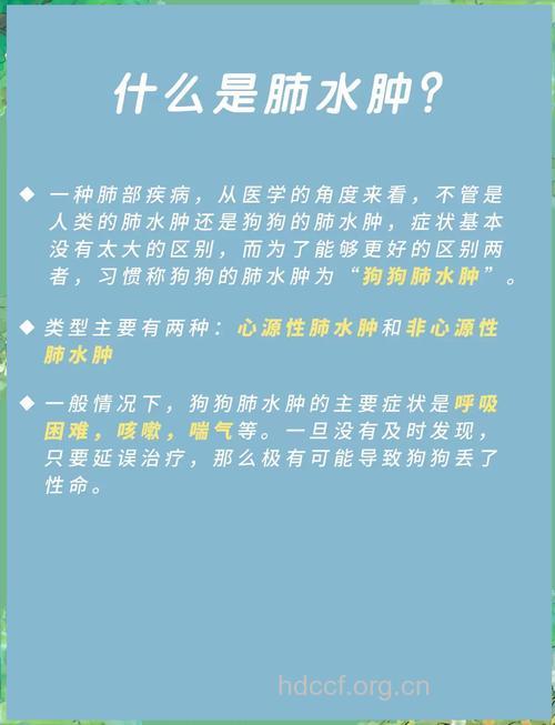 肺水肿要如何治疗